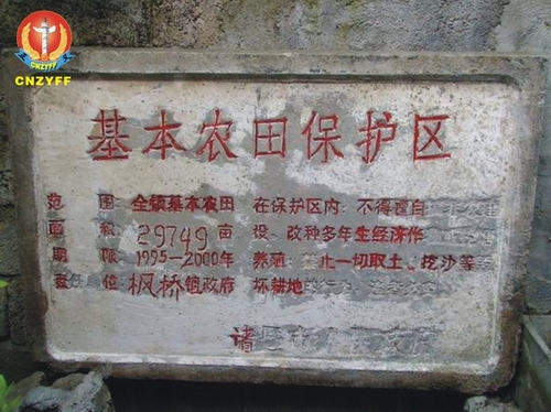 阮教授：揭发浙江省诸暨市国土资源局行政不作为