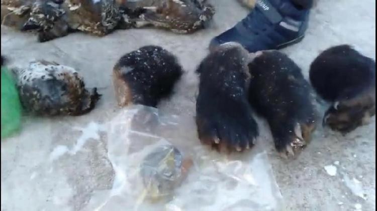 黑龙江通河凤山镇政府食堂现熊掌、猫头鹰 领导工作餐？  网友：政府大佬们吃的天天都是青菜萝卜哈！