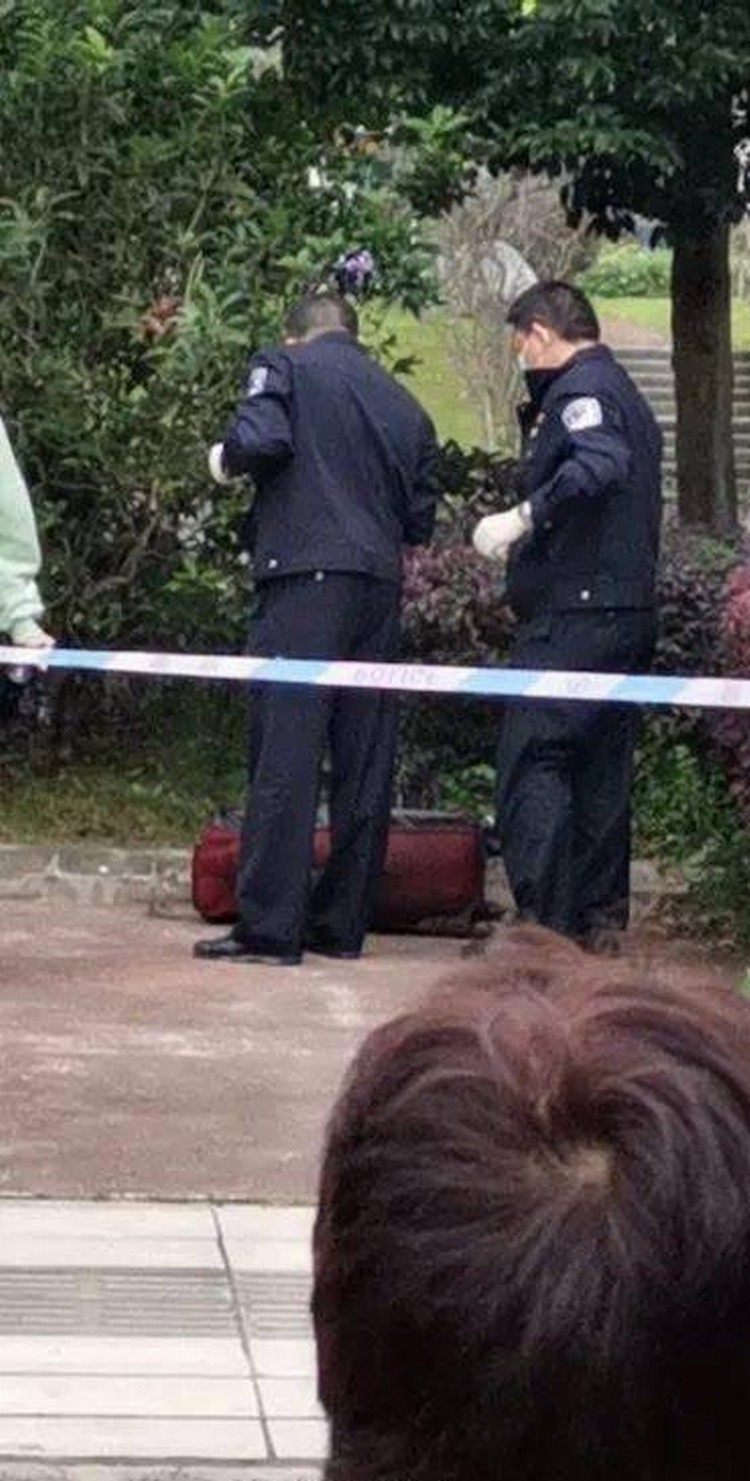 ca59f12f5adb4d658cc1f620ec7d461d.jpeg ca59f12f5adb4d658cc1f620ec7d461d.jpeg