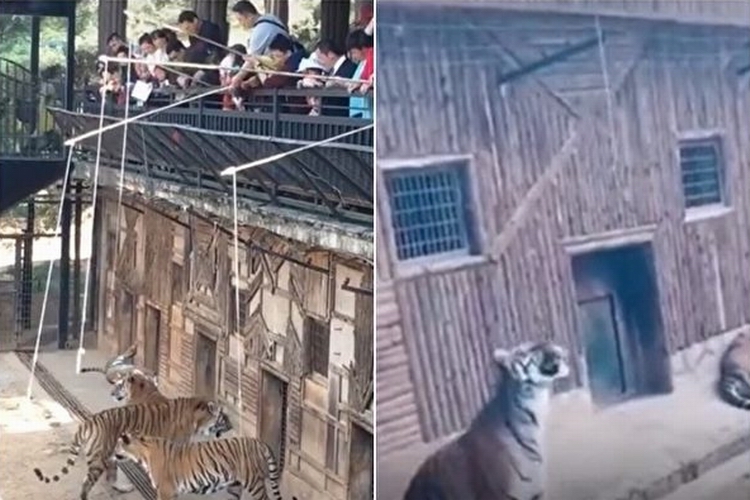 bkn-20200408130450846-0408_00952_001_01b-600x400.jpg bkn-20200408130450846-0408_00952_001_01b-600x400.jpg