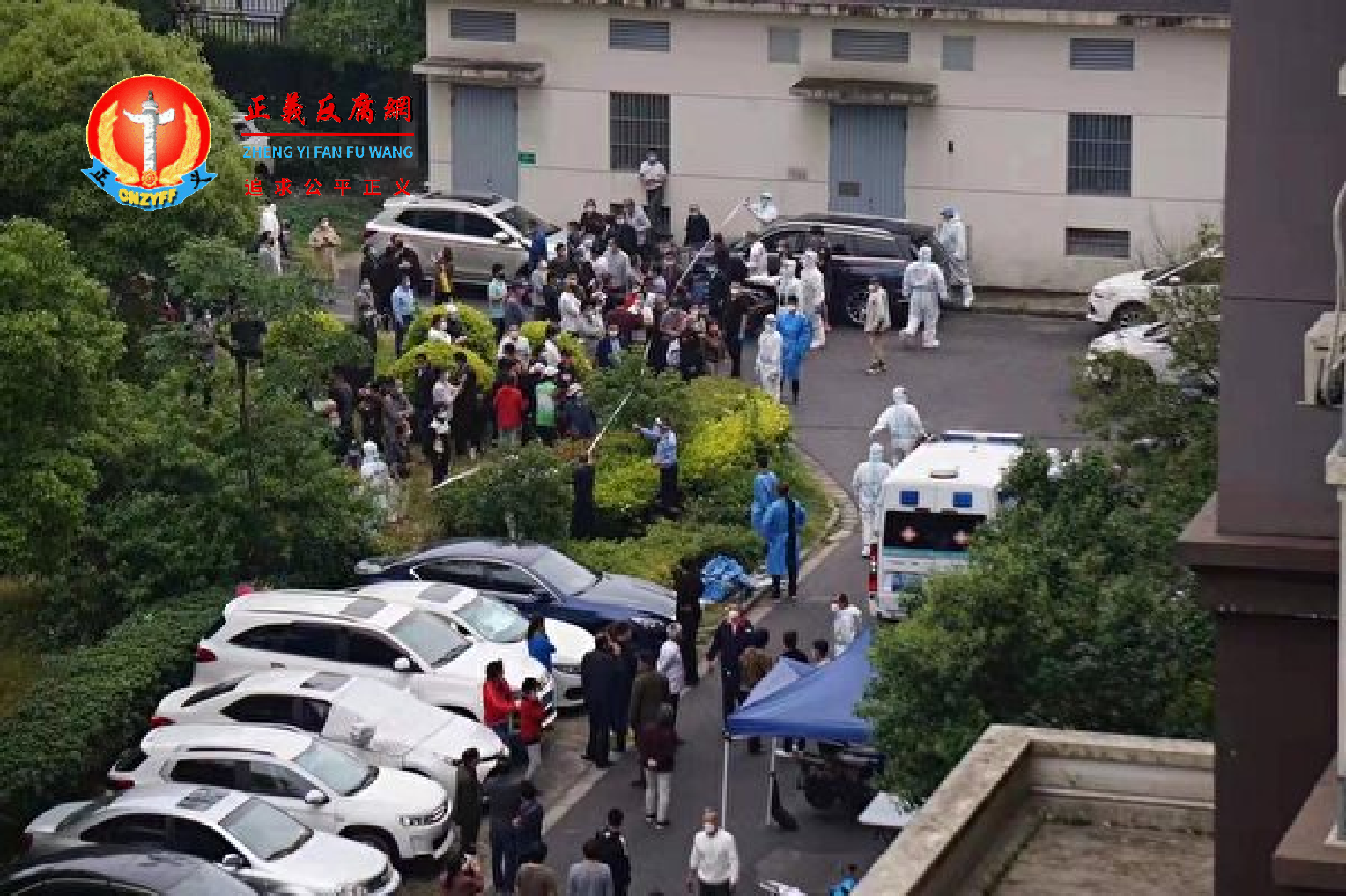 5月20日8时20分许,上海闵行区晶城二区居委书记张某被居民闻某持刀捅伤,随后闻某持刀自伤后跳楼。.png 5月20日8时20分许,上海闵行区晶城二区居委书记张某被居民闻某持刀捅伤,随后闻某持刀自伤后跳楼。.png