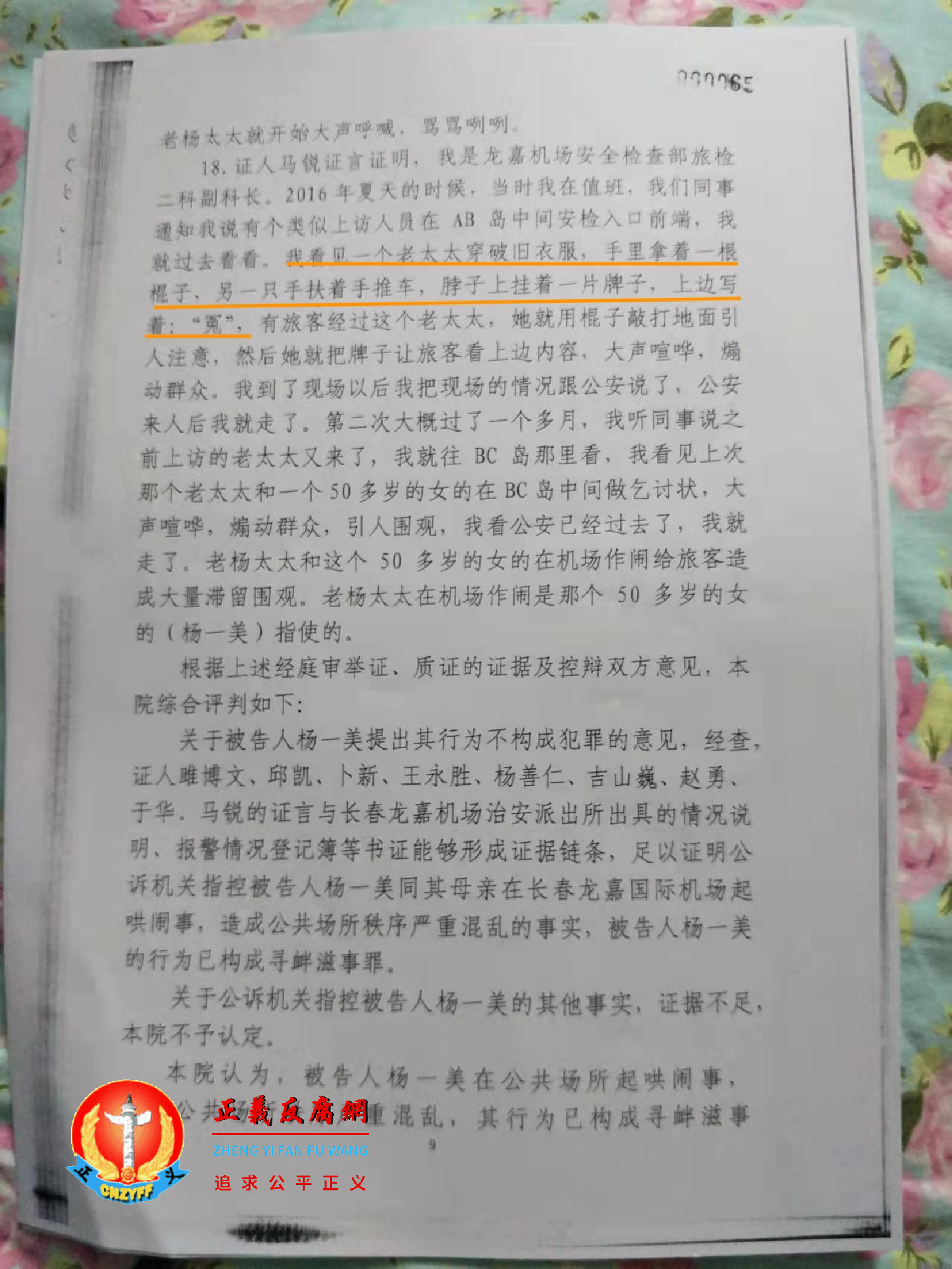 杨一美携母亲刘淑青在龙嘉机场鸣冤被判刑三年。图为判决书部分一段。.png 杨一美携母亲刘淑青在龙嘉机场鸣冤被判刑三年。图为判决书部分一段。.png