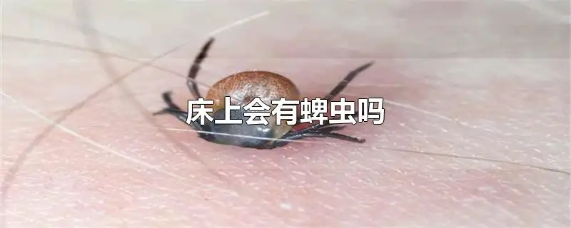 床上会有蜱虫吗.png 床上会有蜱虫吗.png