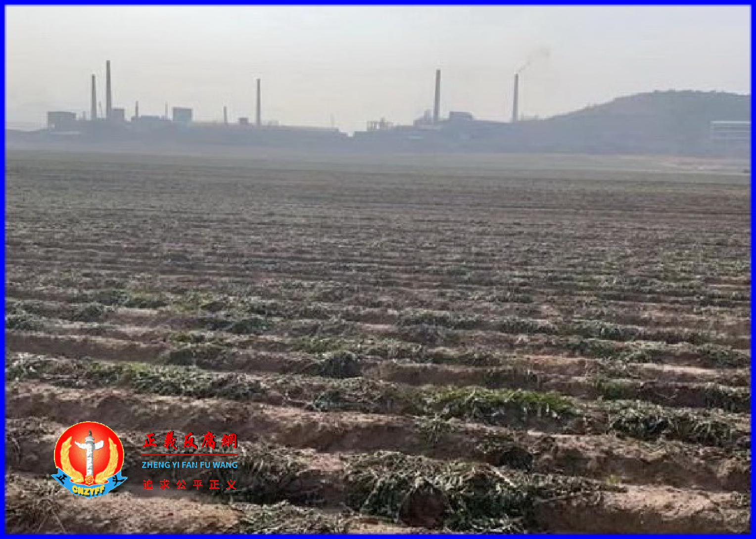 辽宁葫芦岛团山子村村民实名举报,当地化工企业环境污染威胁千人村庄,近千亩土地寸草不生。.png 辽宁葫芦岛团山子村村民实名举报,当地化工企业环境污染威胁千人村庄,近千亩土地寸草不生。.png