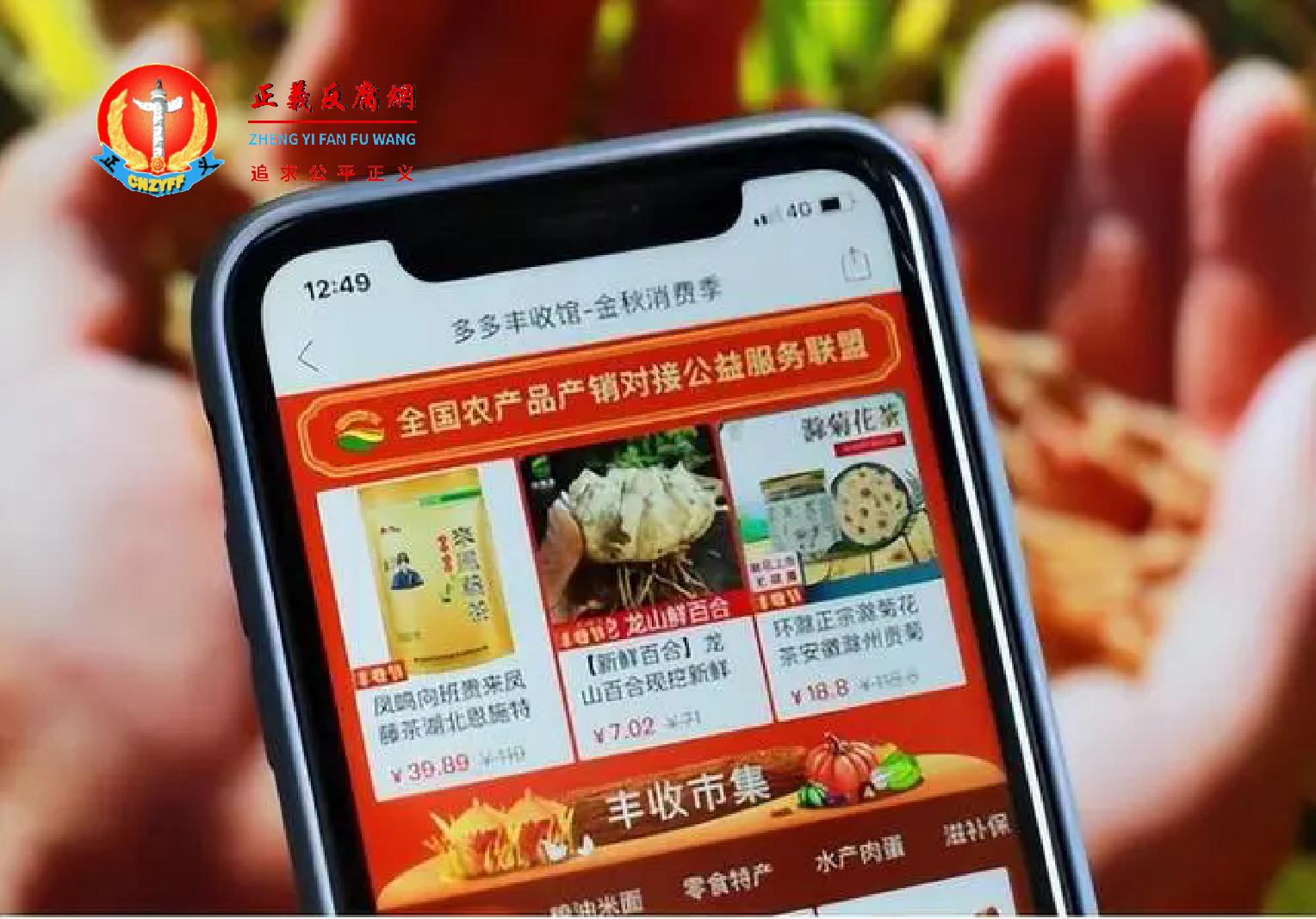 遭低价策略反噬？拼多多市值蒸发逾4500亿